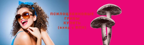 тгк Аркадак