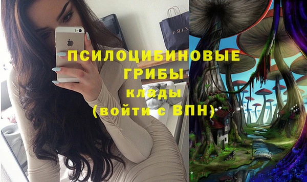 ECSTASY Баксан
