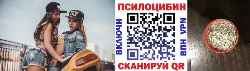 сколько стоит  Липки  гидра зеркало  Псилоцибиновые грибы Psilocybine cubensis 
