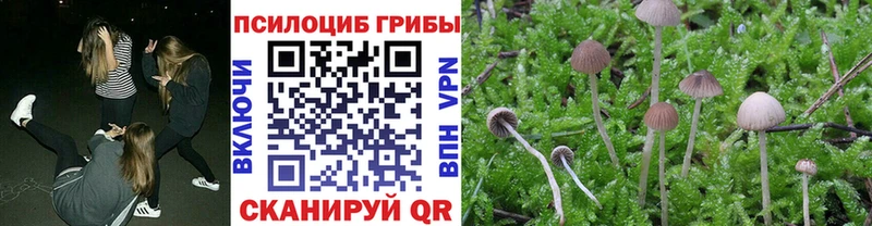 Псилоцибиновые грибы ЛСД Липки
